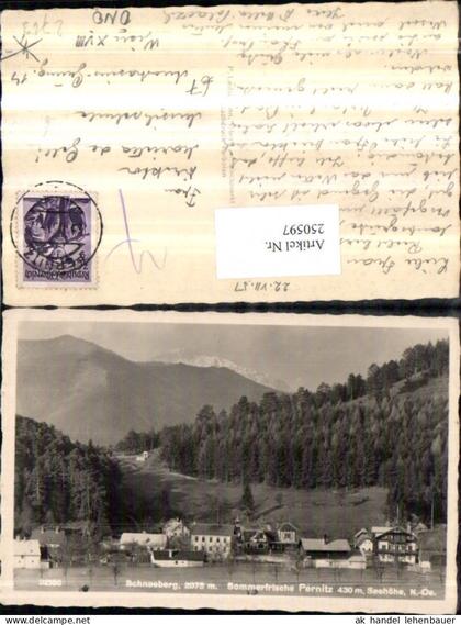 250597,Pernitz Teilansicht m. Schneeberg