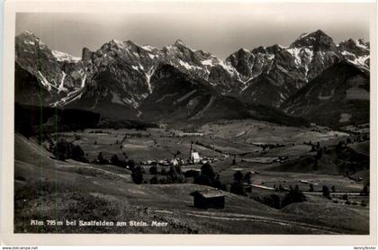 Alm bei Saalfelden am Stein