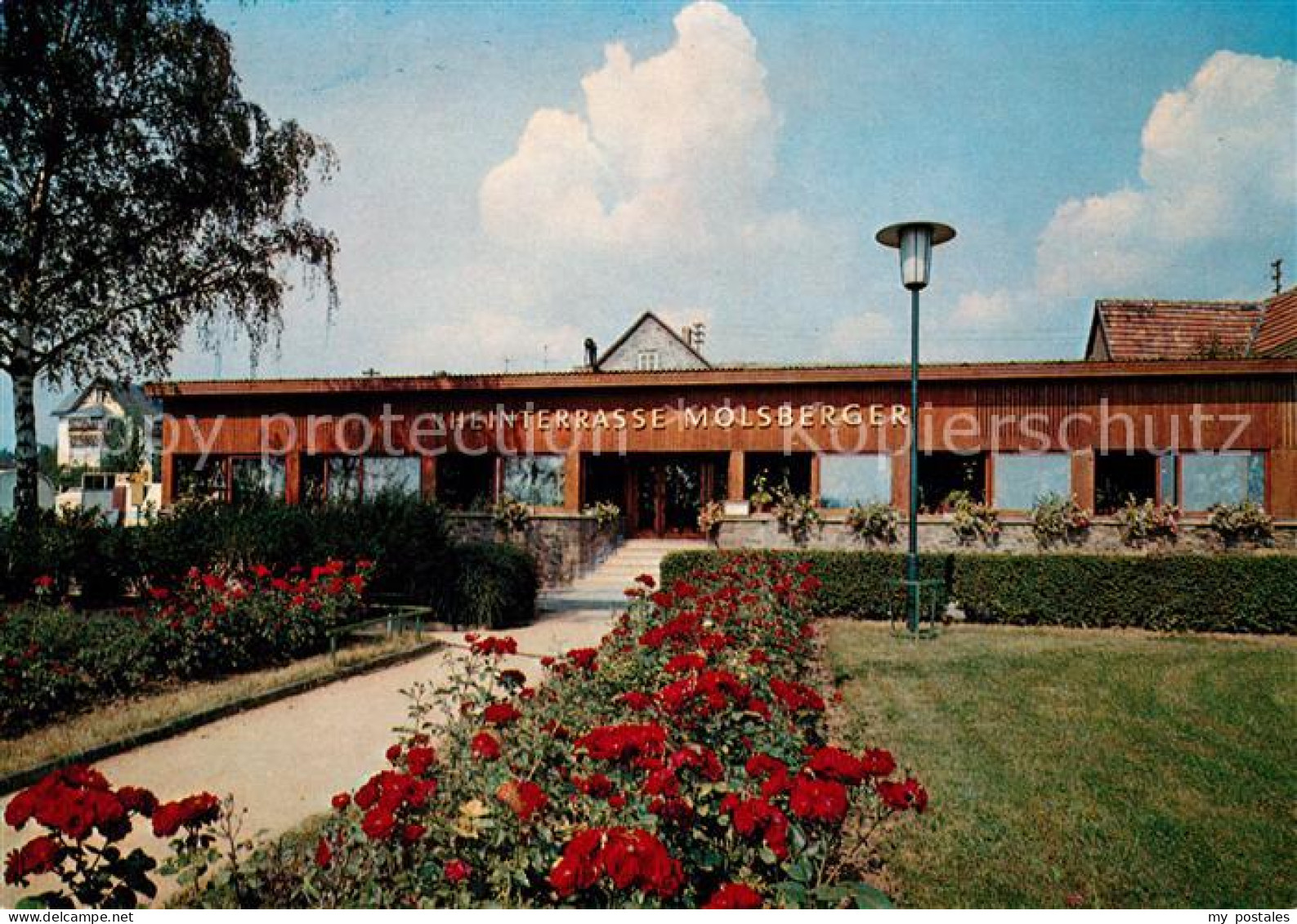 Oestrich-Winkel Maisbergers Rheinterrasse Winstube