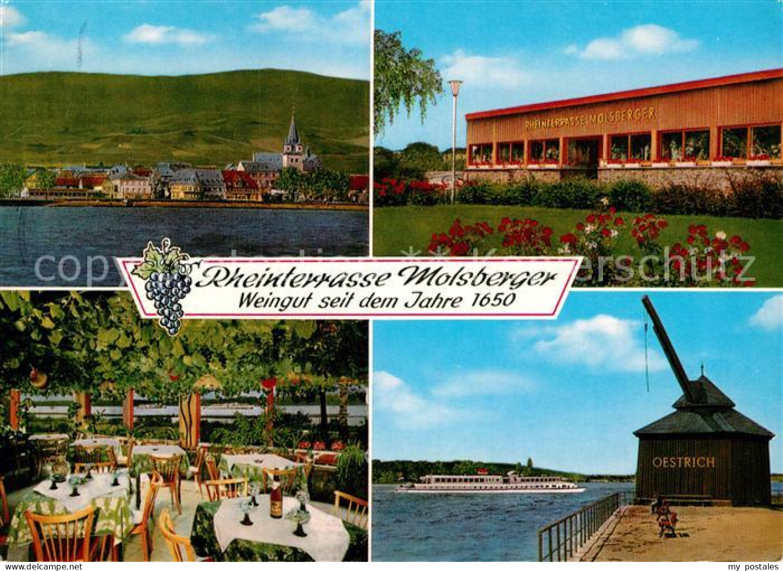 Oestrich-Winkel Rheinterrasse Molsberger