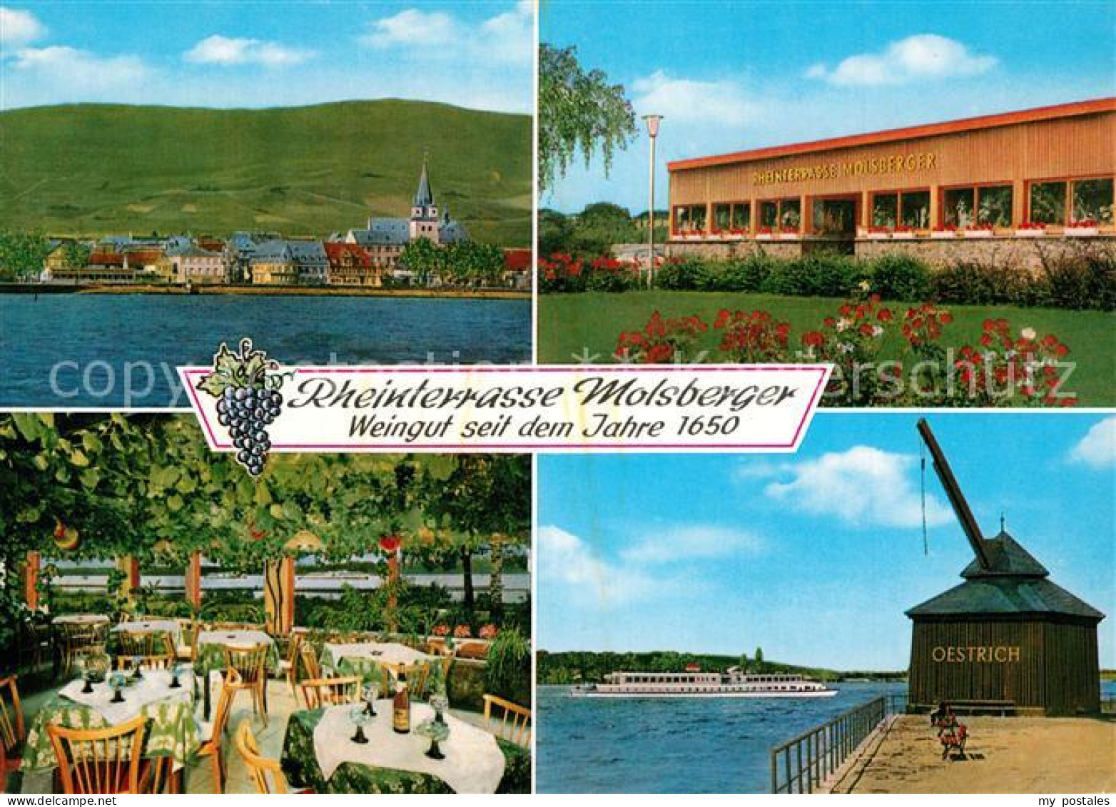 Oestrich-Winkel Rheinterrasse Molsberger Weinstube Alter Kran Rheindampfer