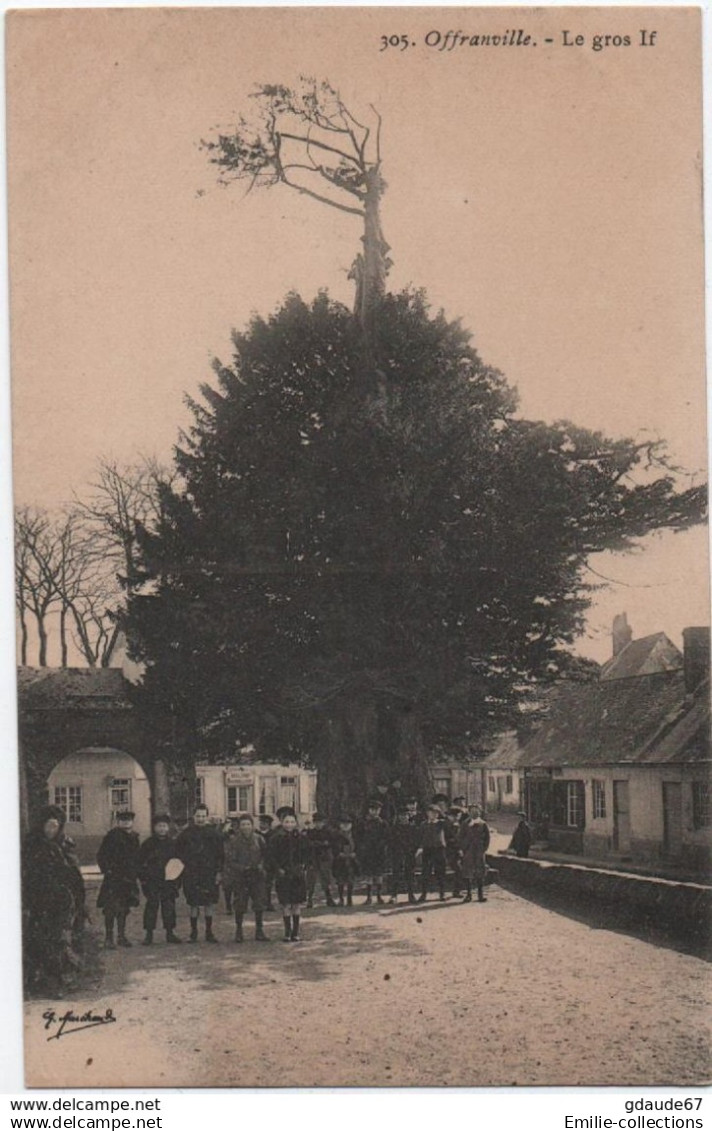 OFFRANVILLE (76) - LE GROS IF