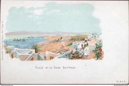 20035618 - Tunis - Landschaft, Tunesien