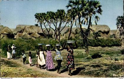 Afrique - Africa - L Afrique en Couleurs - Sur le Chemin de la Fontaine - CPA