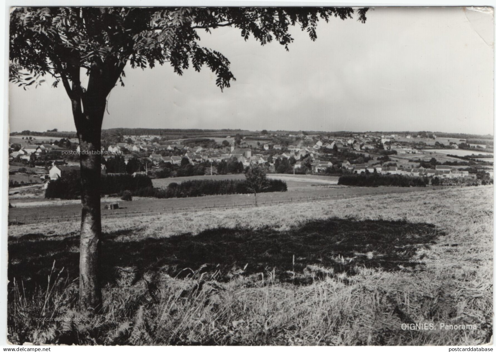 Oignies - Panorama