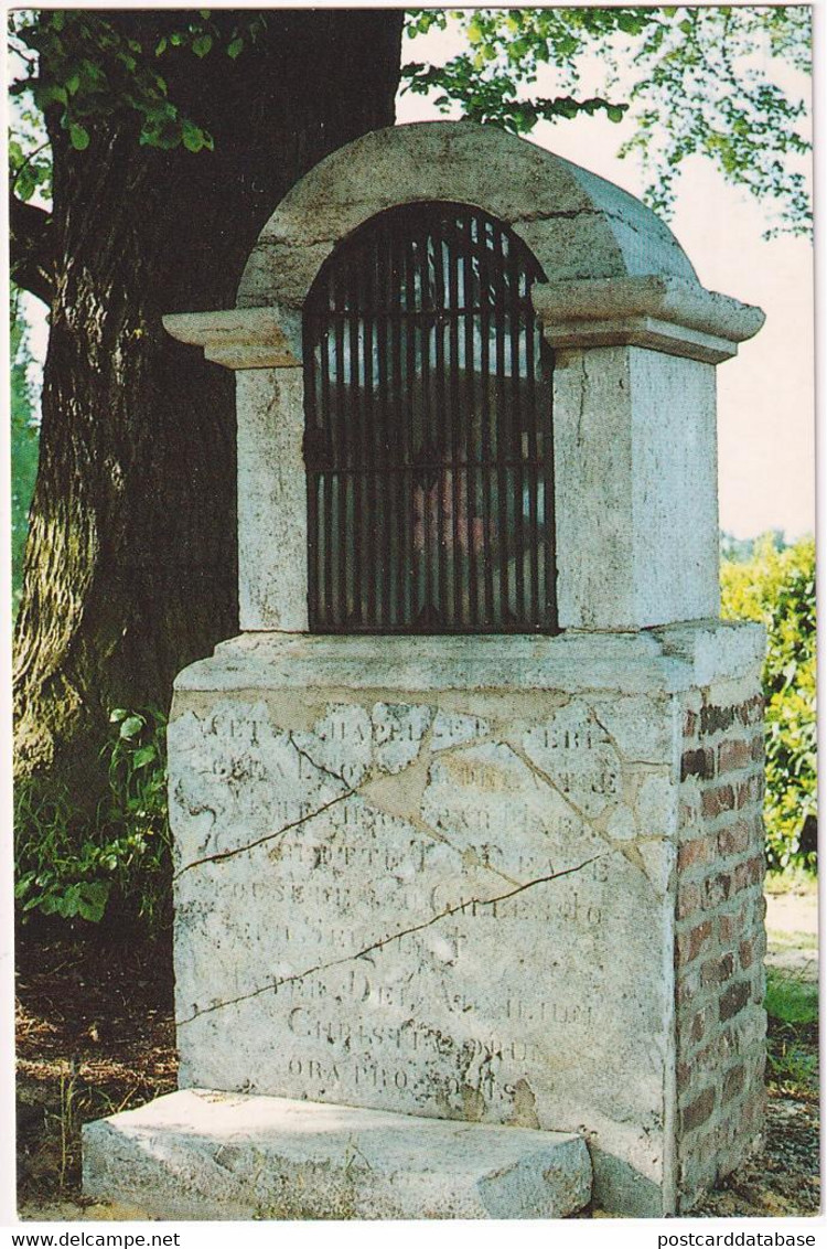 Oisquercq - Rue de la Falize