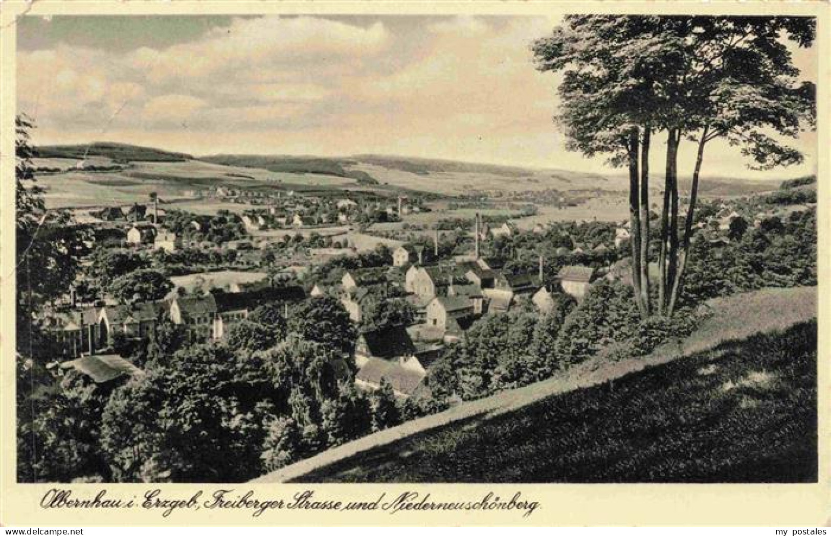 Olbernhau Erzgebirge Panorama