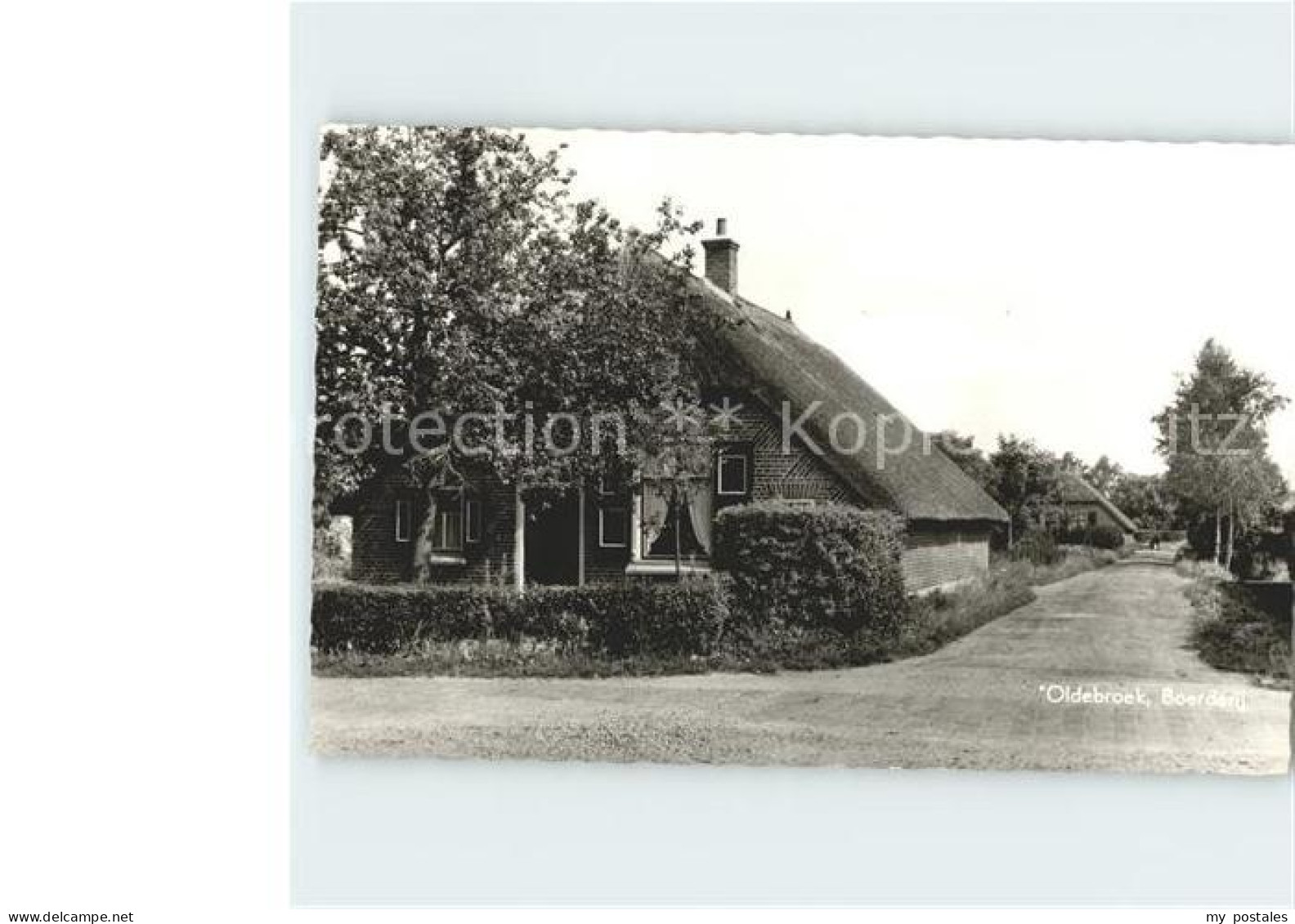 Oldebroek Gelderland Boerderij