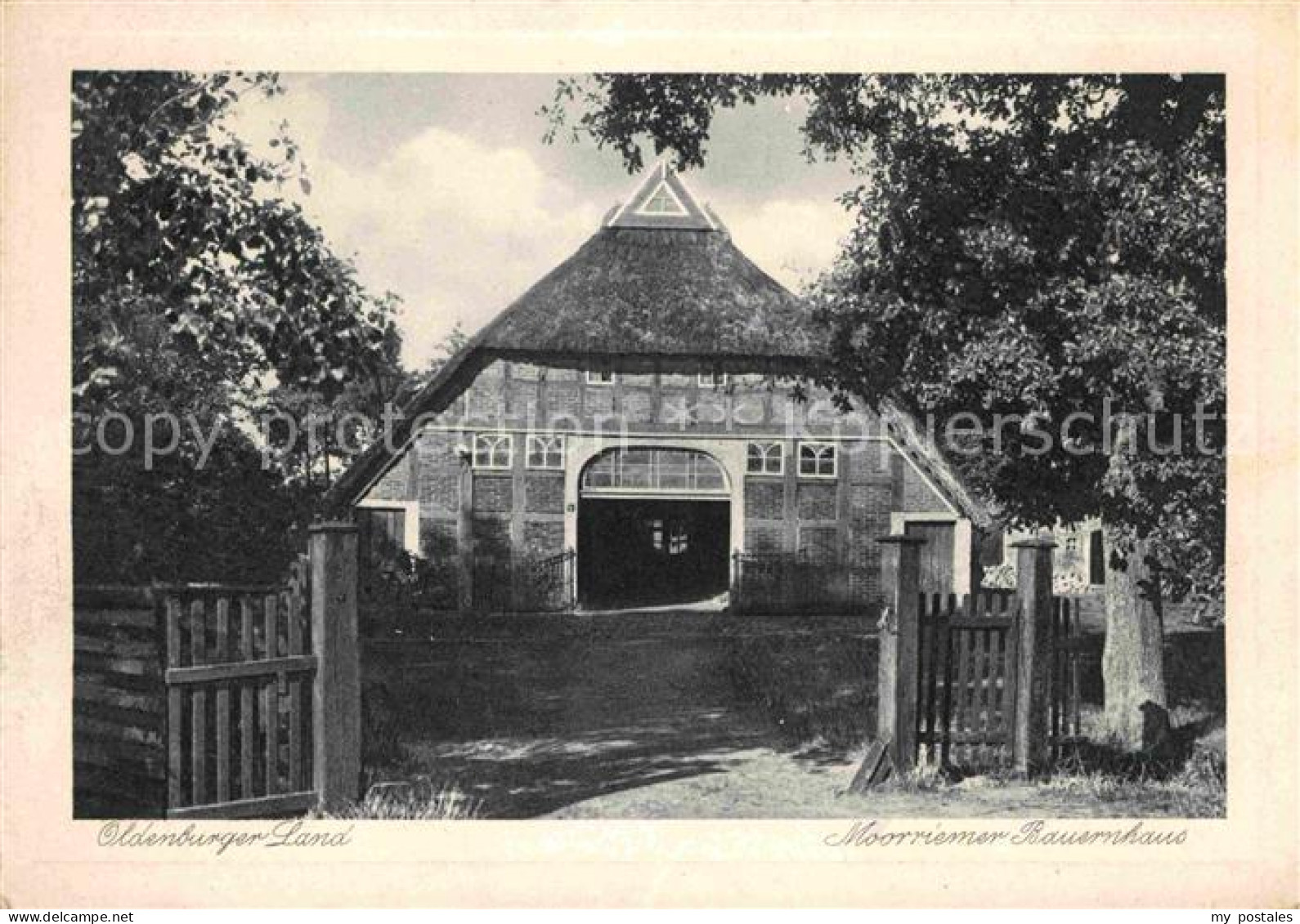Oldenburg Holstein Mooriemer Bauernhaus