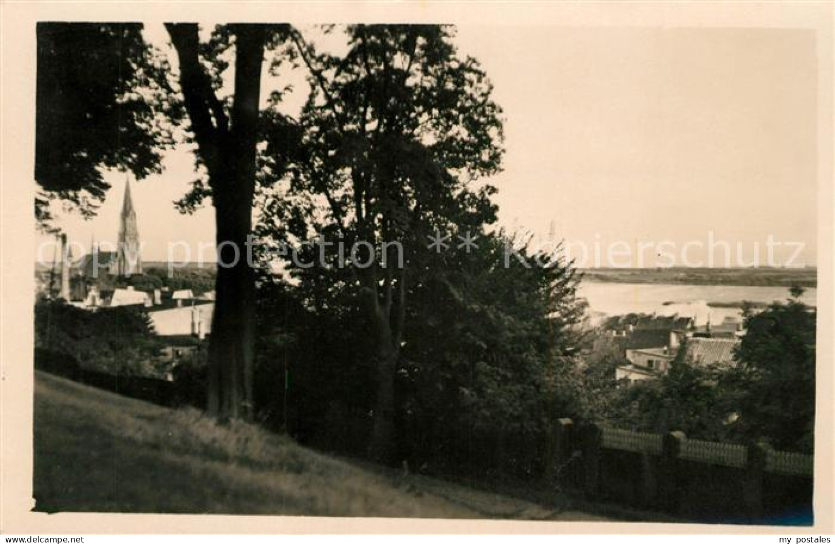 Oldenburg Holstein Panorama
