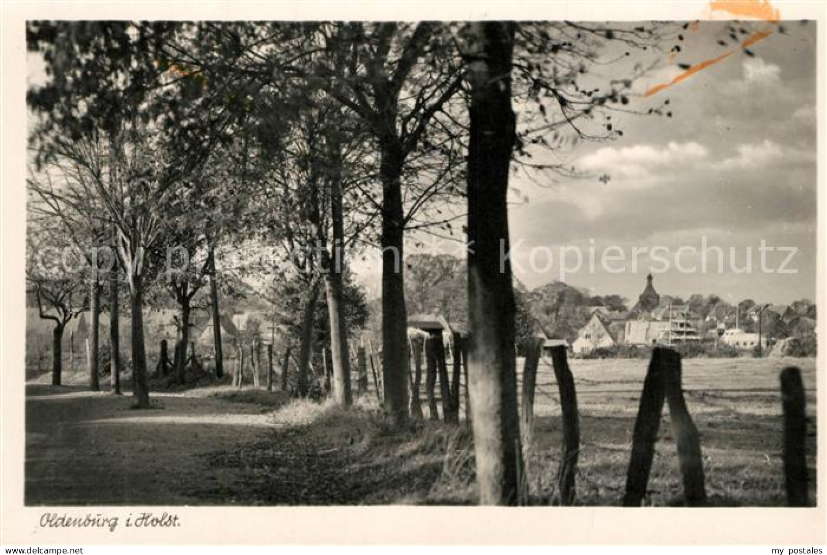Oldenburg Holstein Panorama