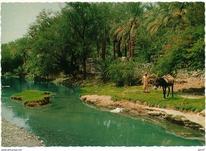 OMAN - The Valley of Nizwa