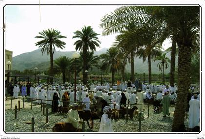 PC SULTANATE OF OMAN, GOAT AUCTION, REAL PHOTO POSTCARD (b16349)