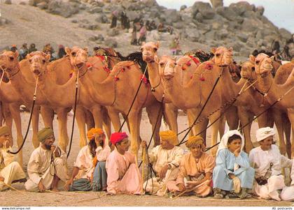 Sultanate of Oman Camel Riders Natives Ethnic postcard C431