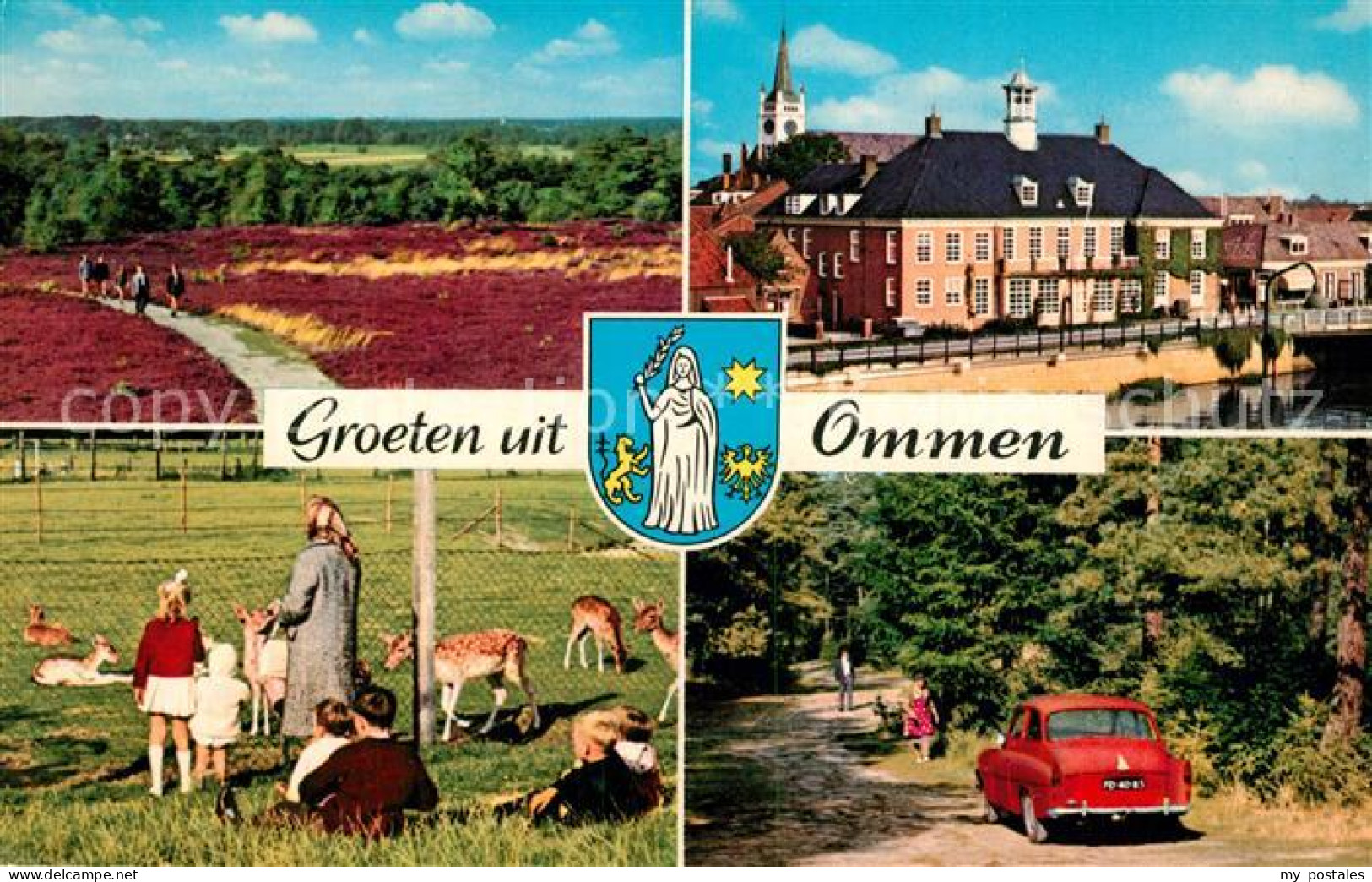 Ommen Overijssel Heide Damwild Rathaus