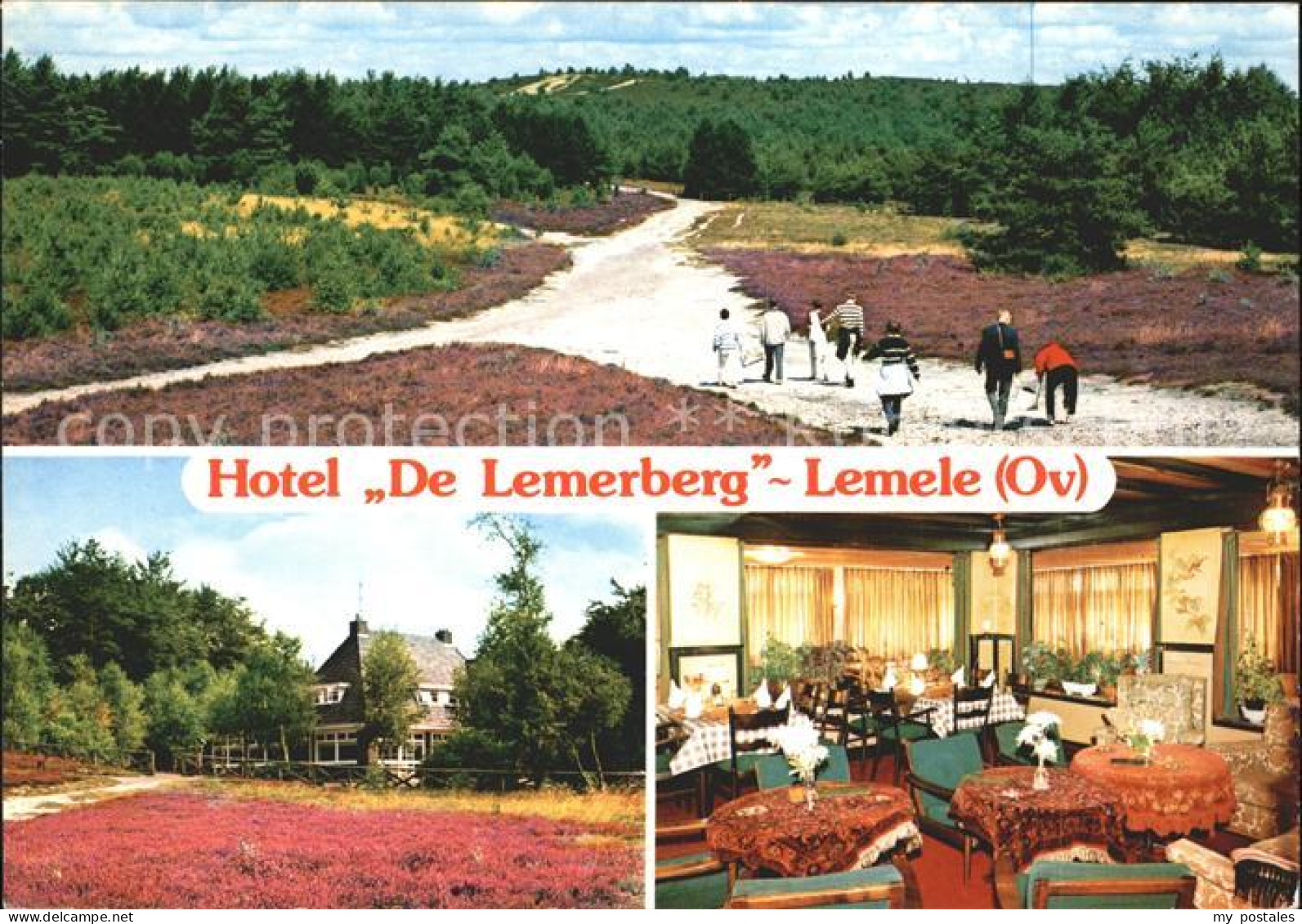 Ommen Overijssel Hotel De Lemerberg