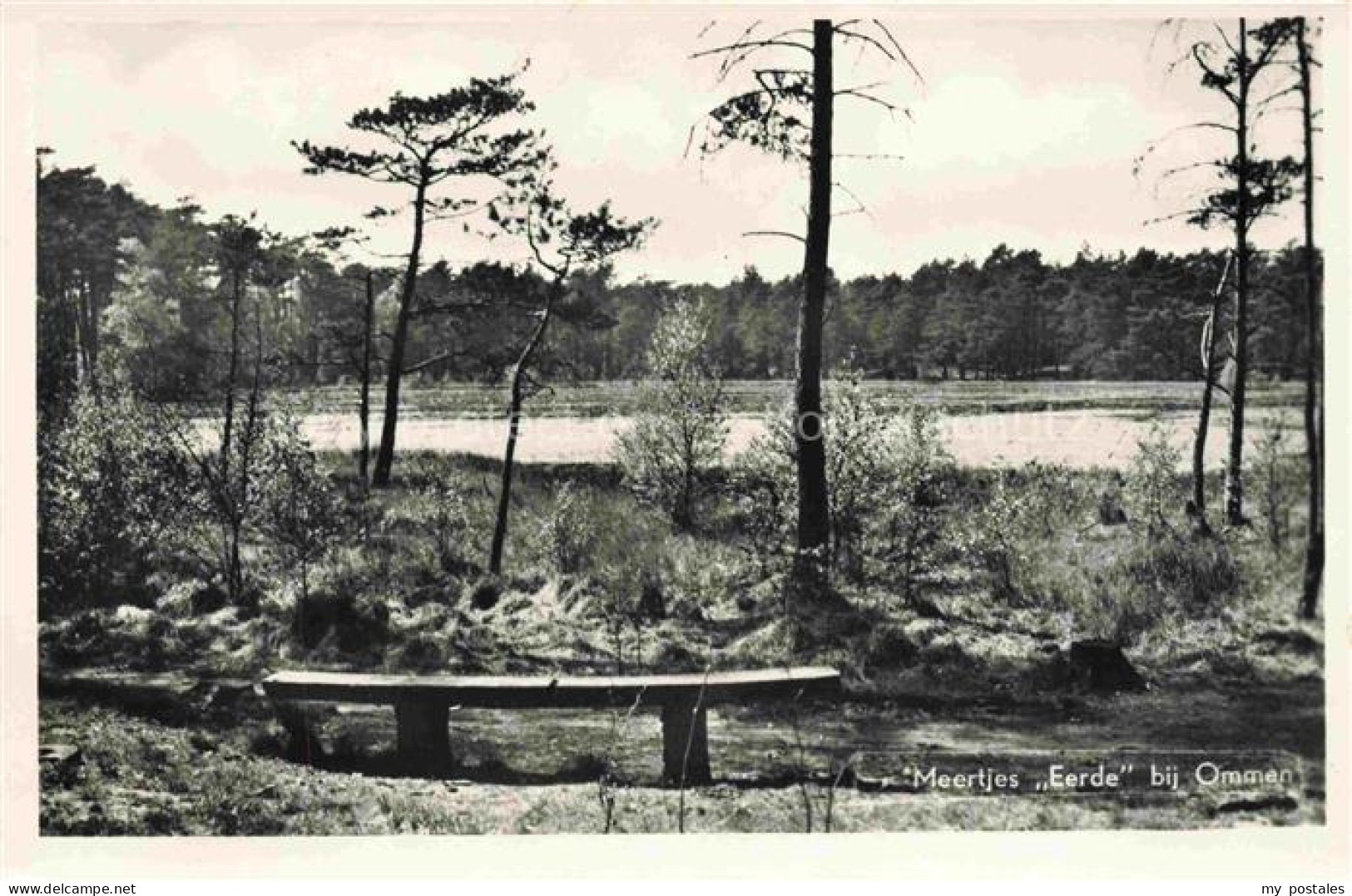 Ommen Overijssel NL Meertjes Eerde