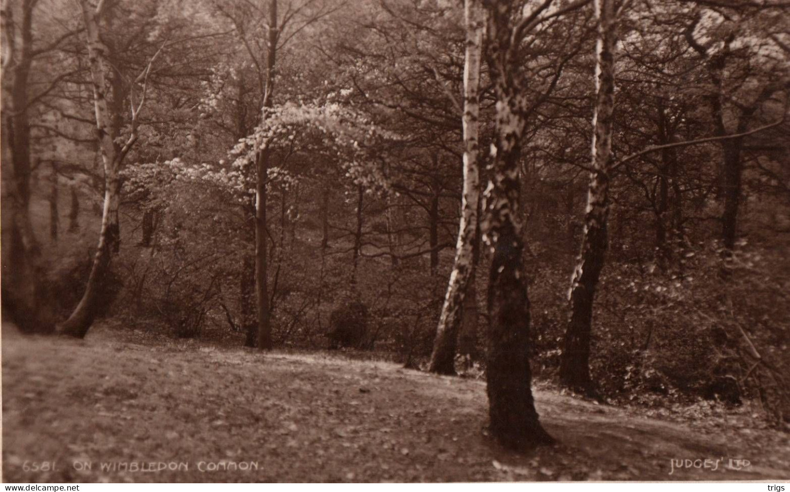 On Wimbledon Common