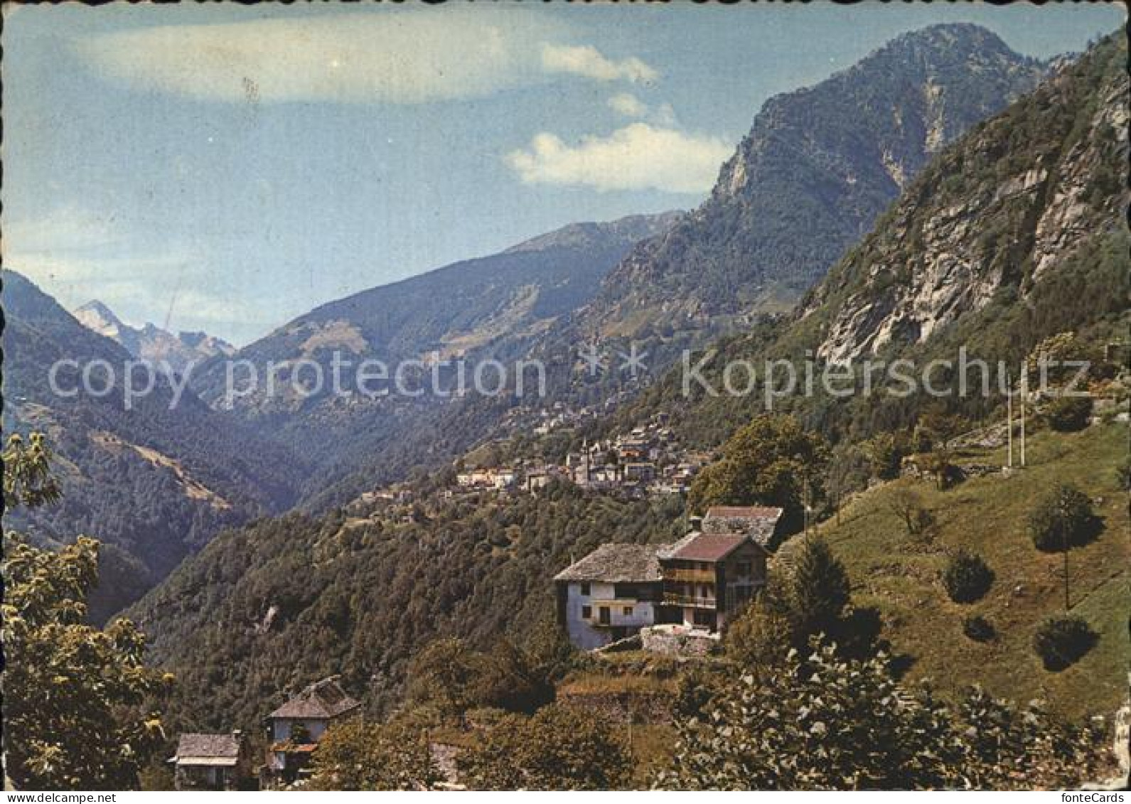 Onsernone Panorama
