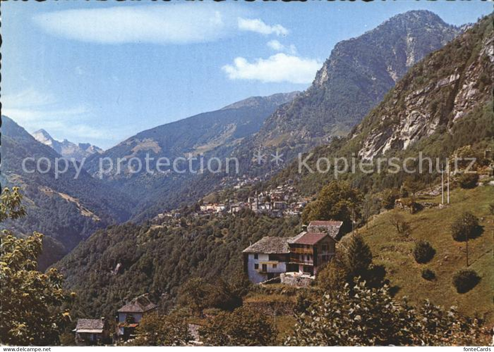 Onsernone Panorama