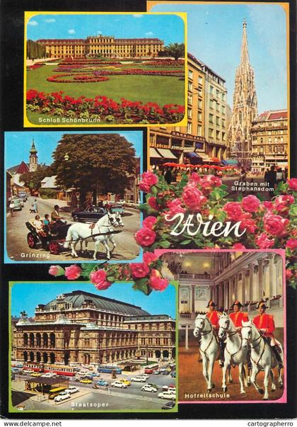 Austria Wien