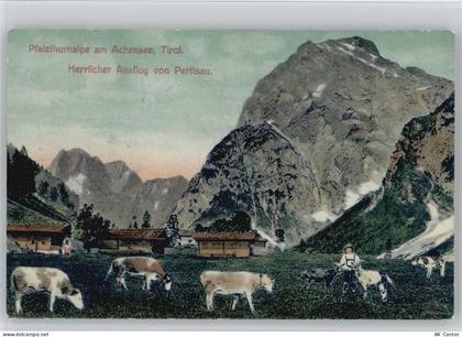 6212 Pertisau - Pfalzhurnalpe Achensee - 10040271