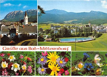 B68126 Austria Bad Mitterndorf Salzkammergut multiviews