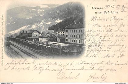 bc65381 Selzthal Railway Station Train Chemin de fer Palyaudvar  austria