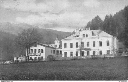 C191 Austria Scheibbs Allingerhaus  vintage postcard