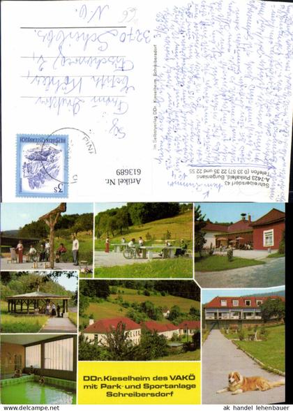 613689,Mehrbild Ak Pinkafeld Schreibersdorf Wiesfleck DDr. Kieselheim VAKÖ Hund Hallenbad