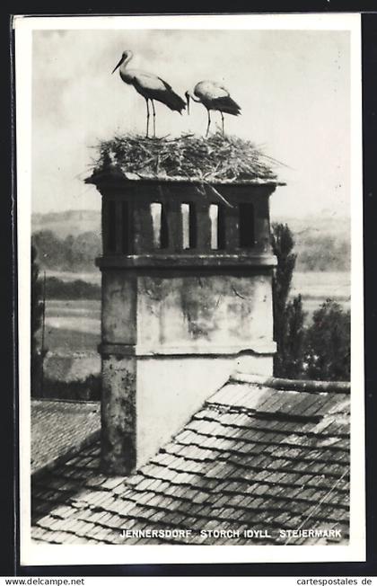 AK Jennersdorf, Storch Idyll, Nester auf Schornstein
