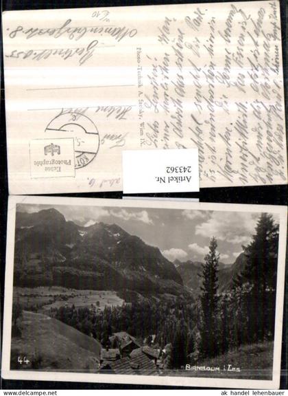 243362,Birnbaum im Lesachtal Teilansicht