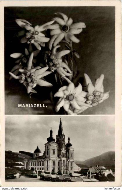 Mariazell/Steiermark - Mariazell,
