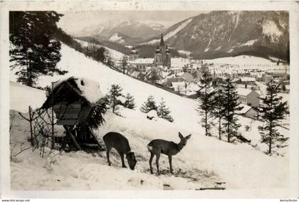 Mariazell/Steiermark - Mariazell, Wintersportplatz