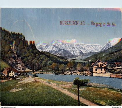 Mürzzuschlag/Steiermark - Mürzzuschlag - Eingang in die Au