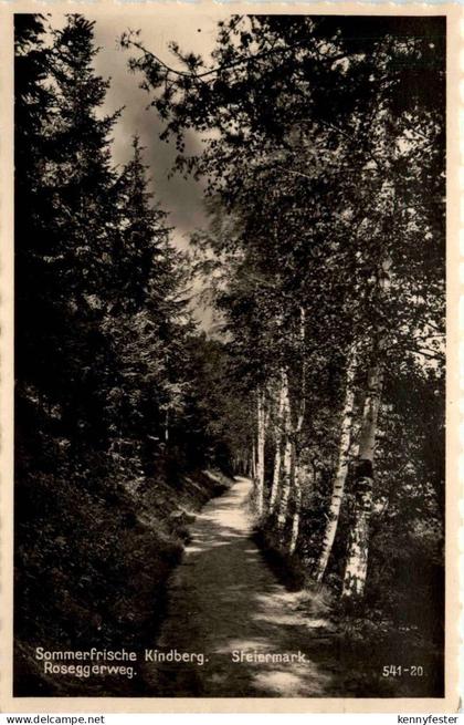Mürzzuschlag/Steiermark - Sommerfrische Kindberg - Roseggerweg