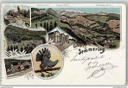 13479625 - Semmering-Kurort