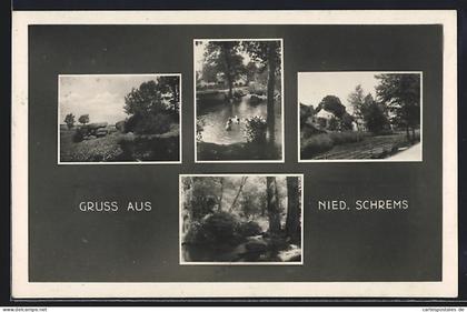 AK Schrems /N.-Oe., Niederschrems, Hünengrab, Teich, Waldpartie