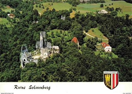 Eferding Oberoesterreich AT Ruine Schaunburg Fliegeraufnahme