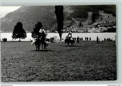 13036202 - Seekirchen am Wallersee