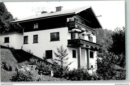 13158442 - Mittersill