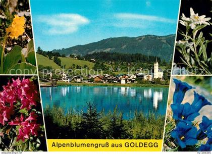 Goldegg Panorama Azaleen Edelweiss Enzian