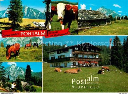 Strobl Postalm Gasthof Alpenrose