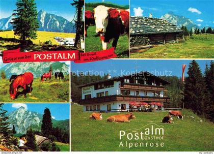 Strobl Wolfgangsee AT Postalm Gasthof Alpenrose Teilansichten