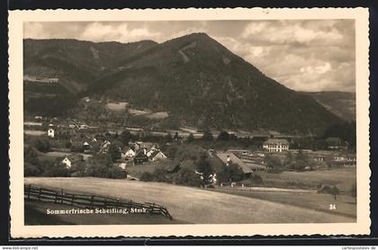 AK Scheifling / Steiermark, Ortspanorama