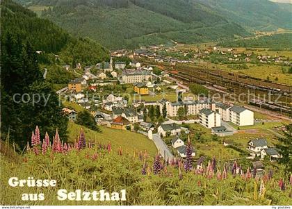 Selzthal Panorama