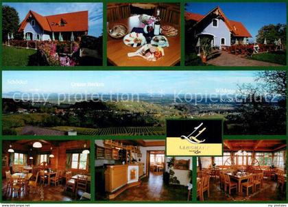 St Stefan Stainz Weingut Buschenschank Langmann Landschaftspanorama