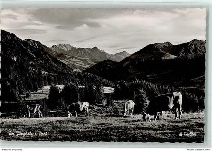 10073120 - Jungholz ,Tirol