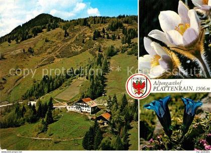 Arzl Pitztal Alpengasthof Plattenrain