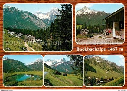 Lechtal Vorderbockbachalpe Birchetsgump